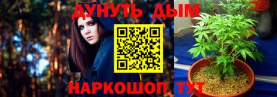 ПСИЛОЦИБИНОВЫЕ ГРИБЫ Новокубанск