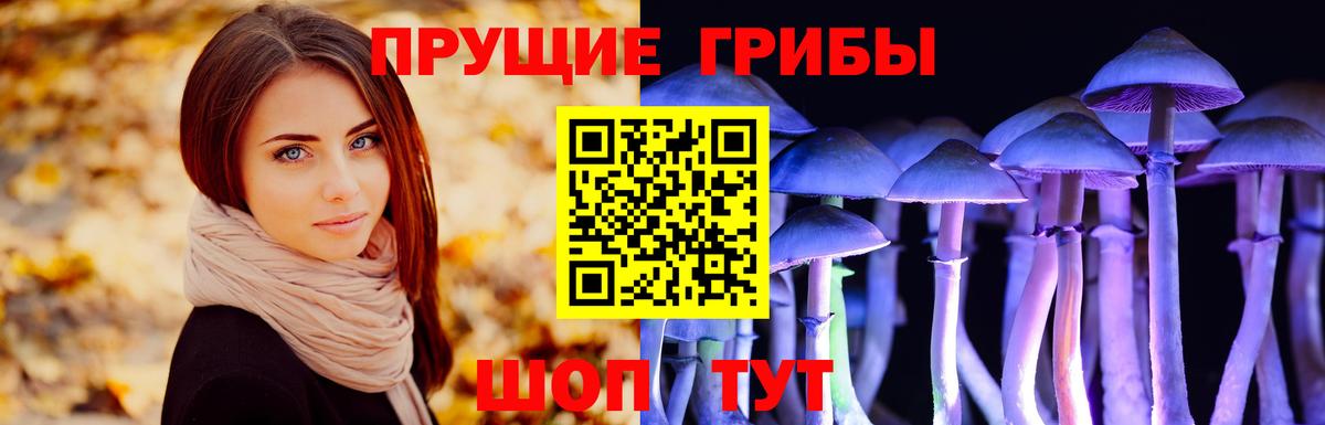 Псилоцибиновые грибы Psilocybine cubensis Солнечногорск